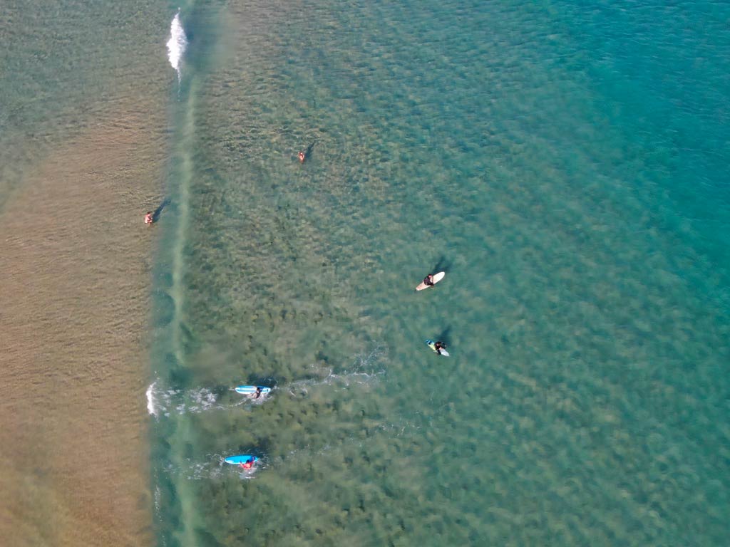 Chia-Surf